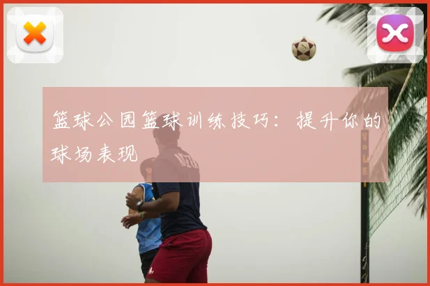 篮球公园篮球训练技巧：提升你的球场表现