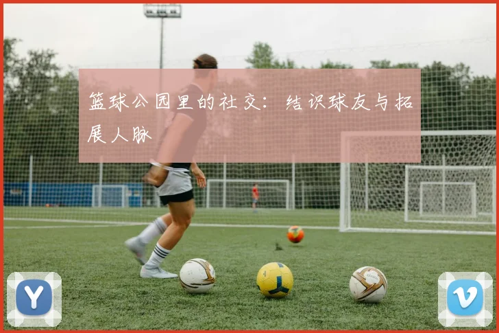 篮球公园里的社交：结识球友与拓展人脉