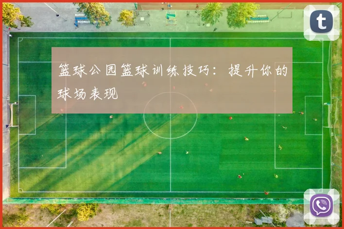 篮球公园篮球训练技巧:提升你的球场表现